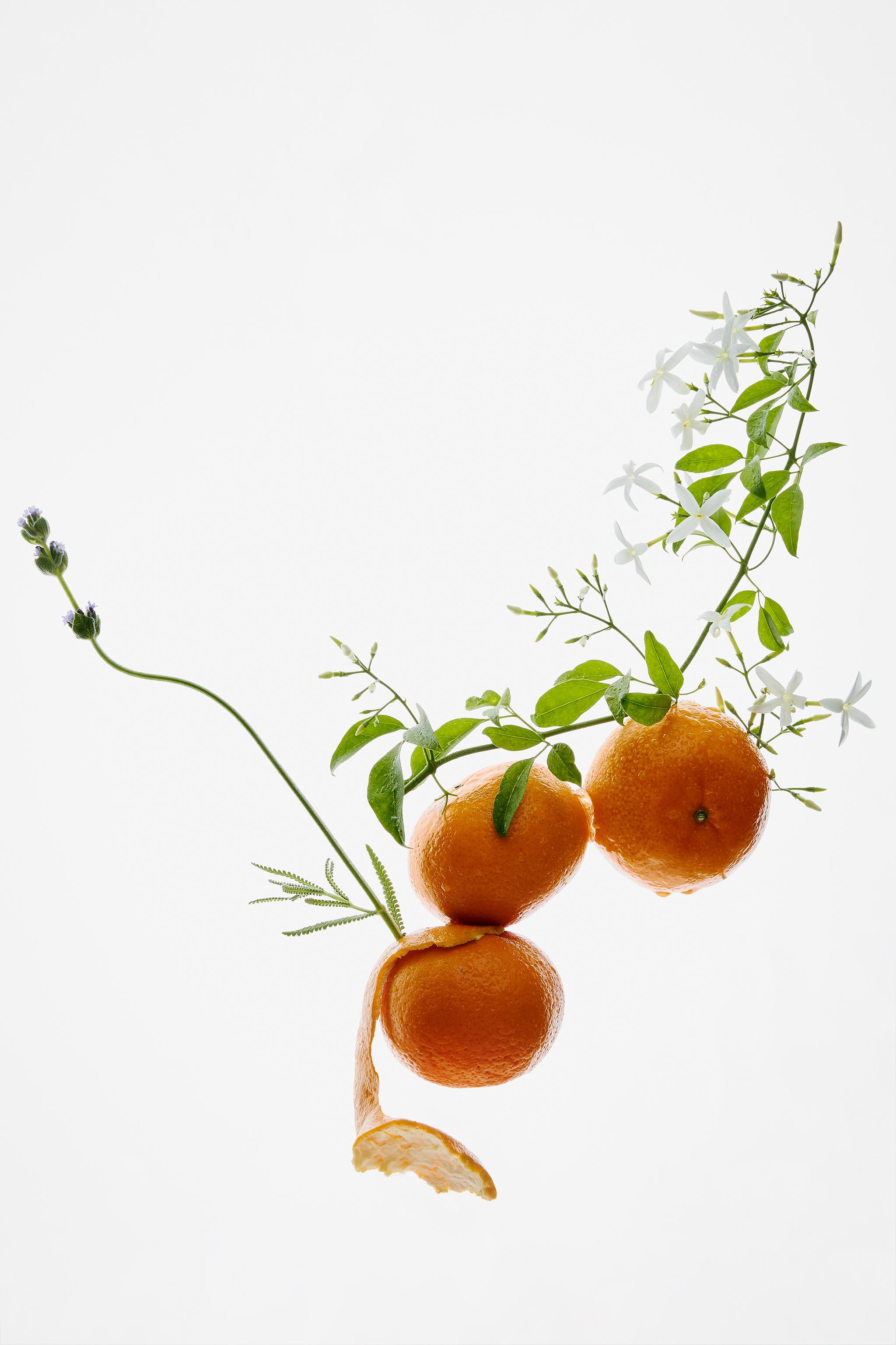 GOLDEN DECADE EDP 50ML (1.7 FL. OZ).